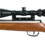 Cabela’s Outfitter-DLX .177 Cal Air Rifle