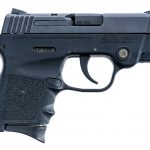 Smith & Wesson Bodyguard .380 ACP Pistol