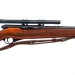 Mossberg 151M-C .22 LR Semi Auto Rifle