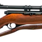 Mossberg 151M-C .22 LR Semi Auto Rifle