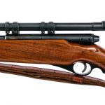 Mossberg 151M-C .22 LR Semi Auto Rifle