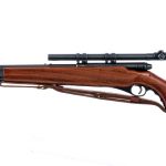 Mossberg 151M-C .22 LR Semi Auto Rifle