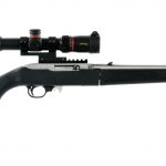 Ruger 10/22 Take-Down .22 LR Semi Auto Rifle