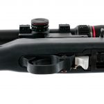 Ruger 10/22 Take-Down .22 LR Semi Auto Rifle