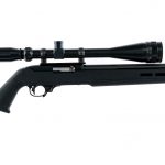 Customized Ruger 10/22 .22 LR Semi Auto Rifle