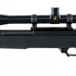 Customized Ruger 10/22 .22 LR Semi Auto Rifle