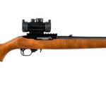 Ruger 10/22 .22 LR Semi Auto Rifle
