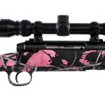 Savage Axis .223 Remington Bolt Action Rifle