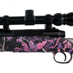 Savage Axis .223 Remington Bolt Action Rifle