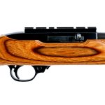 Ruger 10/22 Carbine .22 LR Semi Auto Rifle