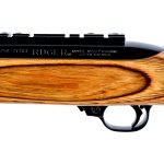 Ruger 10/22 Carbine .22 LR Semi Auto Rifle