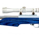Ruger 10/22 USA Shooting Team .22 LR Rifle