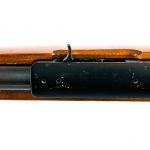 Ruger 10/22 Carbine .22 LR Semi Auto Rifle