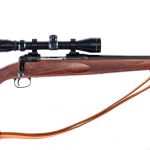 Savage Arms 11 .243 Win Bolt Action Rifle