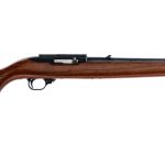 Ruger 10/22 Carbine .22 LR Semi Auto Rifle