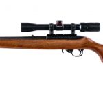 Ruger 10/22 Carbine .22 LR Semi Auto Rifle