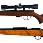 Rifles .22 2 Pcs Lot Semi Auto Rifle