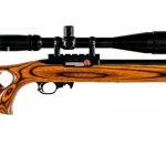 Custom Ruger 10/22 .17 HM2 Semi Auto Rifle
