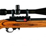 Custom Ruger 10/22 .17 HM2 Semi Auto Rifle