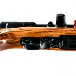 Custom Ruger 10/22 .17 HM2 Semi Auto Rifle