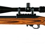 Custom Ruger 10/22 .17 HM2 Semi Auto Rifle