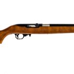 Ruger 10/22 Carbine .22 LR Semi Auto Rifle
