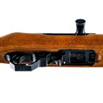 Ruger 10/22 Carbine .22 LR Semi Auto Rifle