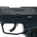 Ruger Max-9 9mm Semi Auto Pistol