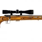 Savage 93R17 .17 HMR Bolt Action Rifle