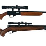 Rifles .22 2 Pcs Lot Semi Auto Rifle