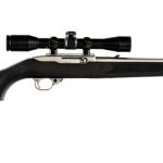 Ruger 10/22 All Weather .22 LR Semi Auto Rifle