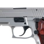 Sig Sauer P226 Elite 9mm Semi Auto Pistol