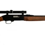 Sears Ted Williams 3T .22 Cal Semi Auto Rifle