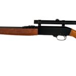 Sears Ted Williams 3T .22 Cal Semi Auto Rifle