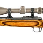 Ruger All Weather 77/22 .22 Hornet Bolt Rifle