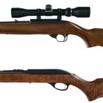 Rifles .22 2 Pcs Lot Semi Auto Rifle