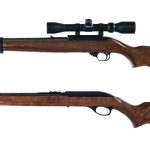Rifles .22 2 Pcs Lot Semi Auto Rifle