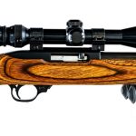 Ruger 10/22 .22 Long Rifle Semi Auto Rifle