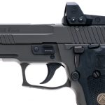 Sig Sauer P229 Legion RXP 9mm Semi Auto Pistol