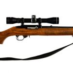 Ruger 10/22 Carbine .22 LR Semi Auto Rifle