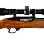 Ruger 10/22 Carbine .22 LR Semi Auto Rifle